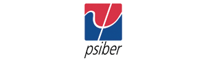 Psiber Data Systems Inc. Logo